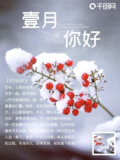 1月你好小清新拼接冬季植物风景简约海报