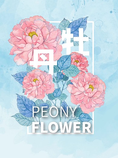 各类花