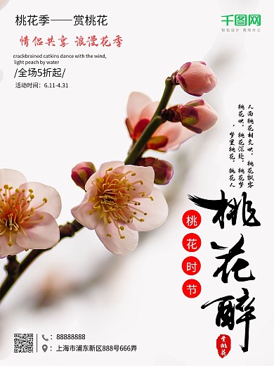 中国风赏桃花桃花季商业海报设计