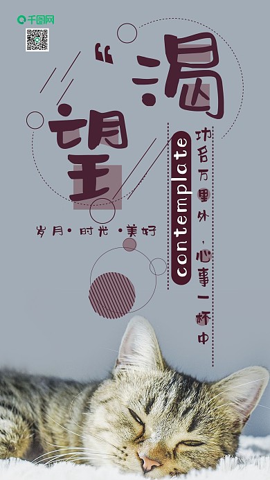 手机壁纸渴望小清新简约猫咪摄影图