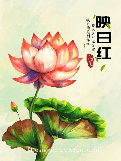 原创手绘荷花海报设计