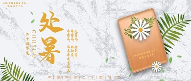 简约节气处暑公众号封面图