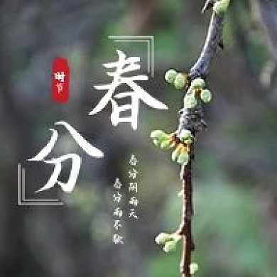 新媒体公众号次图二十四节气春分