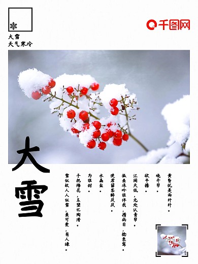 节气大雪冬天植物简约小清新海报