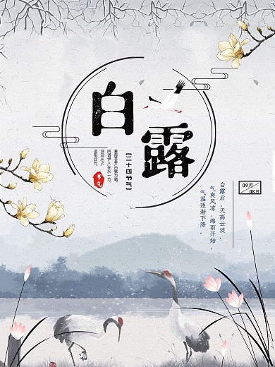 白露简洁大气节日海报