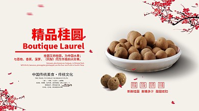 中国风精品桂圆促销展板