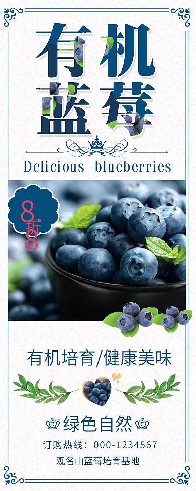 蓝莓实力提升宣传海报展架