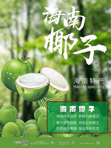 海南椰子海南特产海报