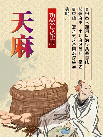 天麻海报