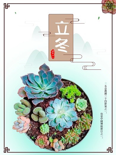 多肉花卉观海报