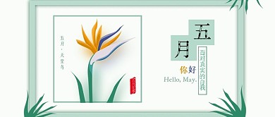 原创清新五月你好天堂鸟背景配图