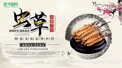 中国风浅黄色梅花简约水墨风虫草展板设计