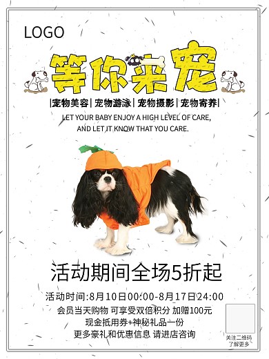 等你来宠宠物店促销海报