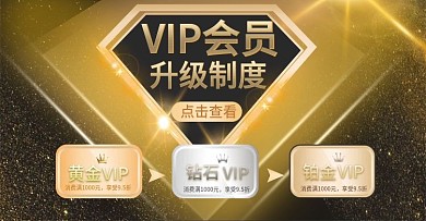 VIP会员制度