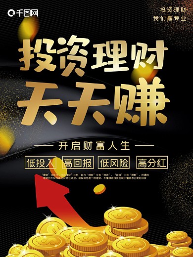 高端黑金投资理财天天赚金融财富宣传海报