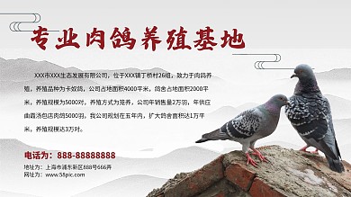 肉鸽养殖基地介绍展板图片