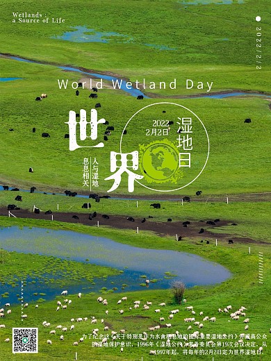简约风世界湿地日保护湿地保护地球节日海报