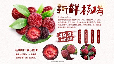 夏季新鲜水果-杨梅水果店海报设计