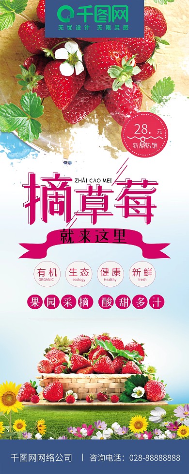 小清新草莓采摘新鲜草莓采摘园促销展架