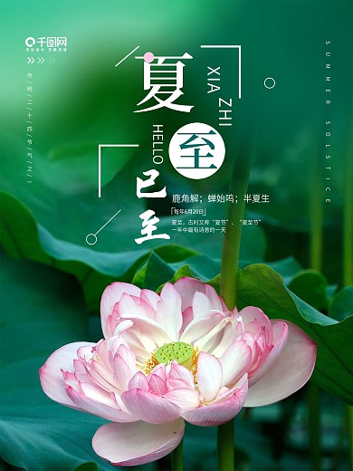 二十四节气夏至海报节气海报荷花简约风海报