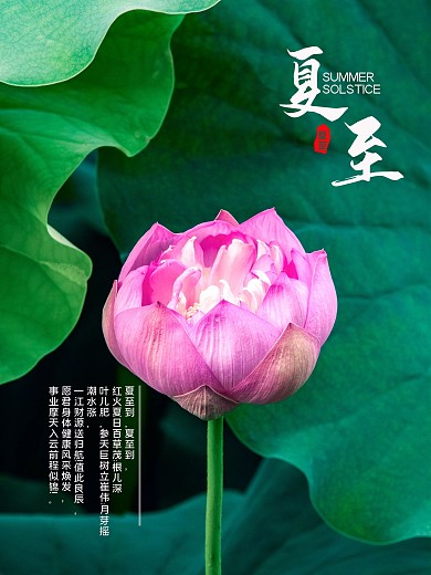 摄影图夏至海报创意合成