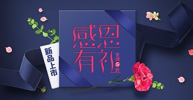 高端大气蓝色质感感恩节促销banner