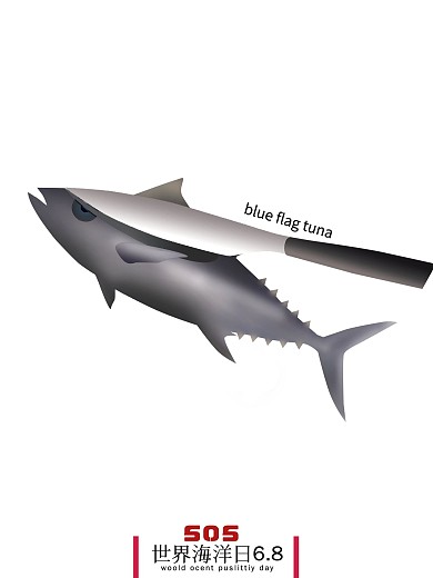 保护海洋生物可好海报