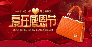 电商京东淘宝感恩节箱包女士包首焦