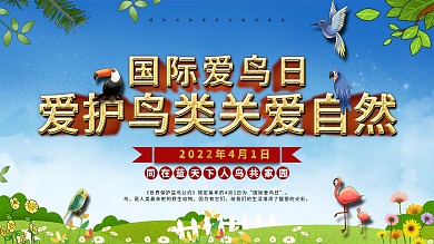 保护鸟类节日展板