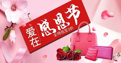 感恩节玫瑰花瓣箱包钱包首焦