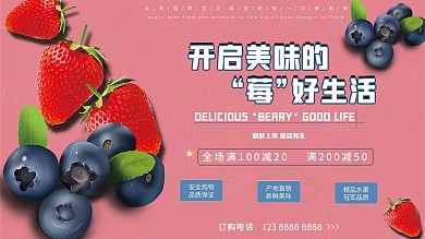 水果类莓果类宣传展板