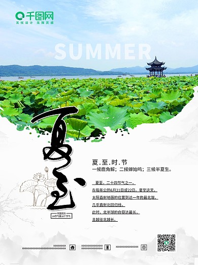24节气 夏至 荷花