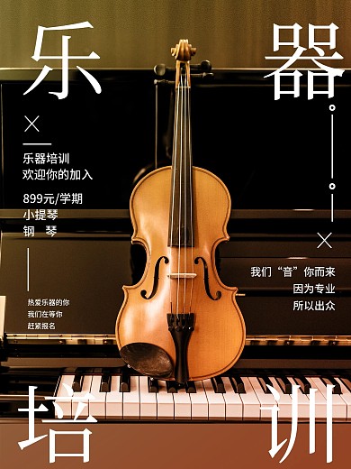 乐器培训元学期简洁大气培训海报2

