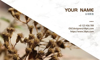 小清新婚庆工作室名片