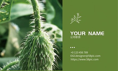 小清新婚庆工作室花店名片