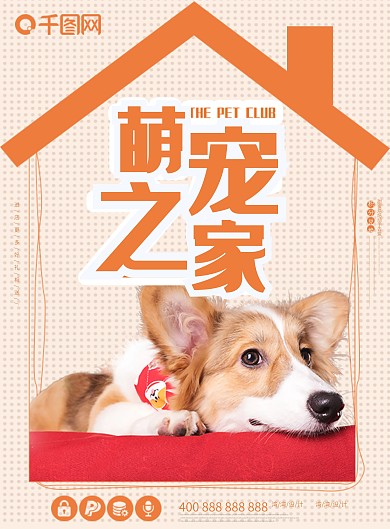 萌宠之家宠物领养创意促销橙色dm宣传单