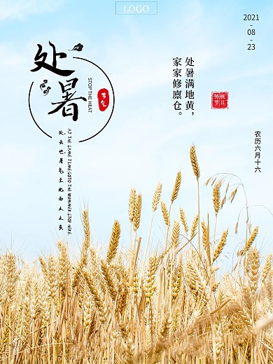 创意简约文艺风传统二十四节气处暑节气宣传