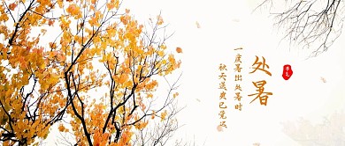 处暑来了简约大方文艺公众号封面