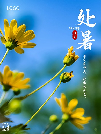 夏季菊花处暑海报二十四节气