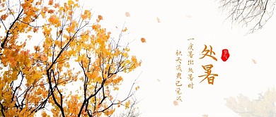 处暑来了简约大方文艺公众号封面