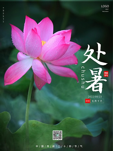 简约处暑摄影图海报