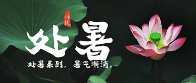 简约实景处暑公众号封面