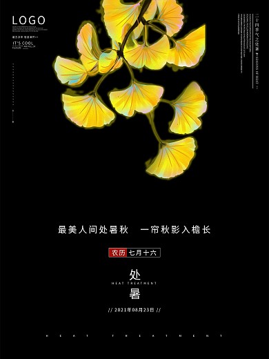 黑色创意摄影风处暑传统节气海报
