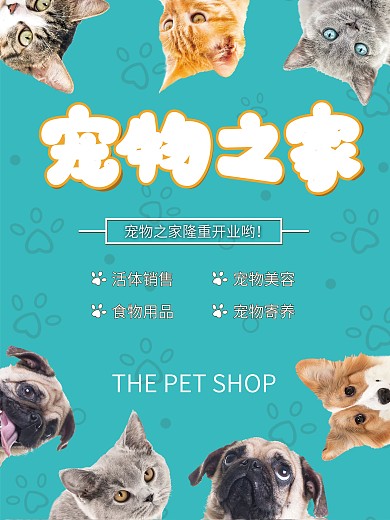 宠物之家宠物店铺海报