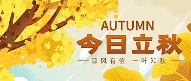立秋落叶实拍公众号封面