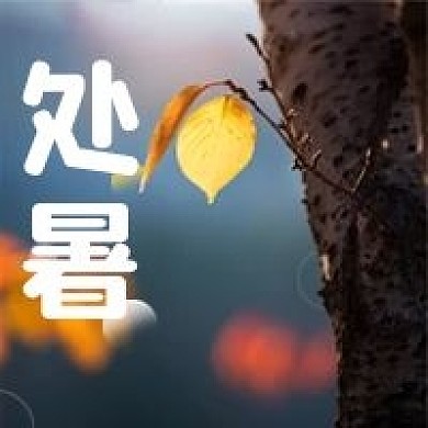 处暑微信公众号次图中国传统二十四节气简约