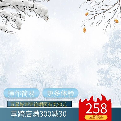 冷色调白色雪景树枝产品冬季活动促销主图