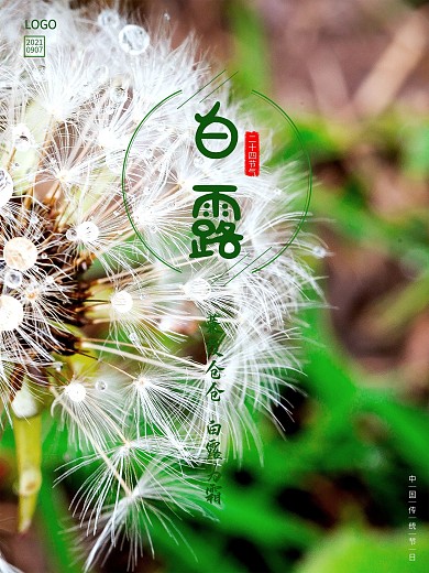 中国传统节日24节气白露海报