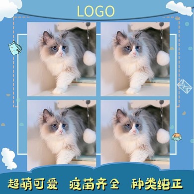 天猫宠物售卖小清新卡通可爱风拼图模板主图