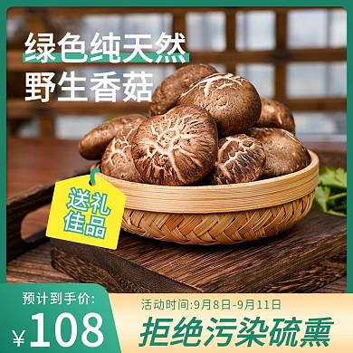 淘宝天猫电商香菇食材食品主图